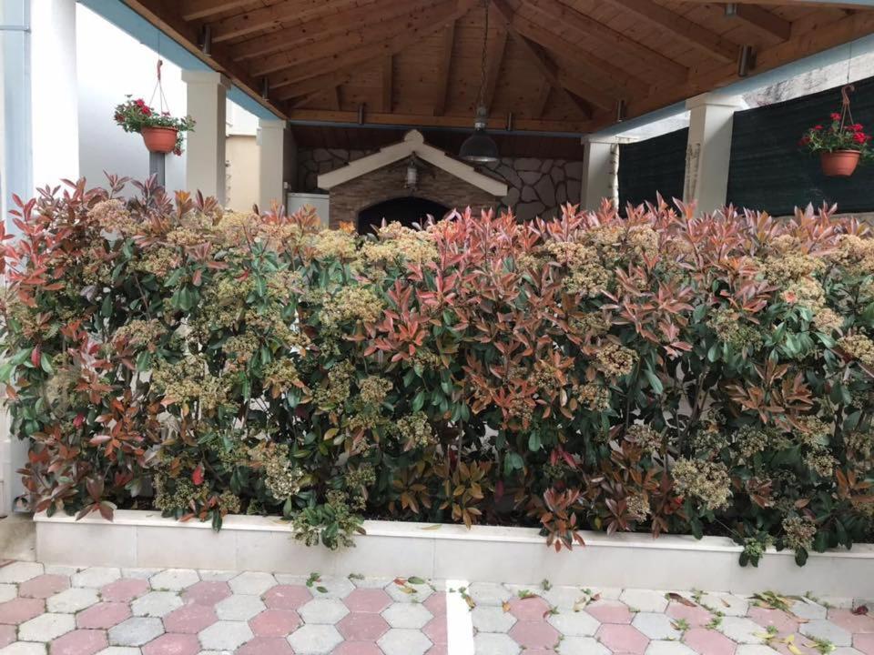 Apartmani Mane Trogir Eksteriør billede