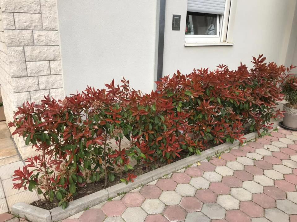 Apartmani Mane Trogir Eksteriør billede